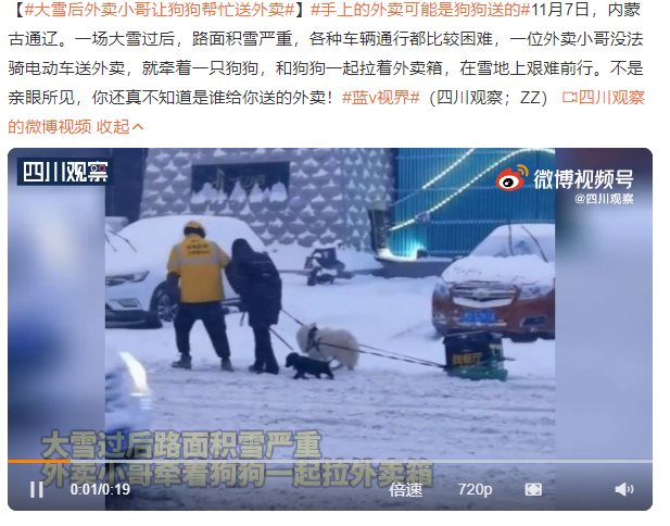 大雪后外卖小哥让狗狗帮忙送外卖 手上的外卖可能是狗狗送的