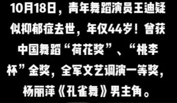 王迪死因真相是什么 杨丽萍搭档王迪是谁哪里人个人经历背景资料结婚了吗