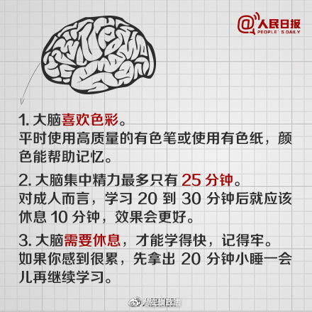 研究称大脑只剩一半也能识字辨人 人不识字是脑子有问题吗 什么是全脑识字