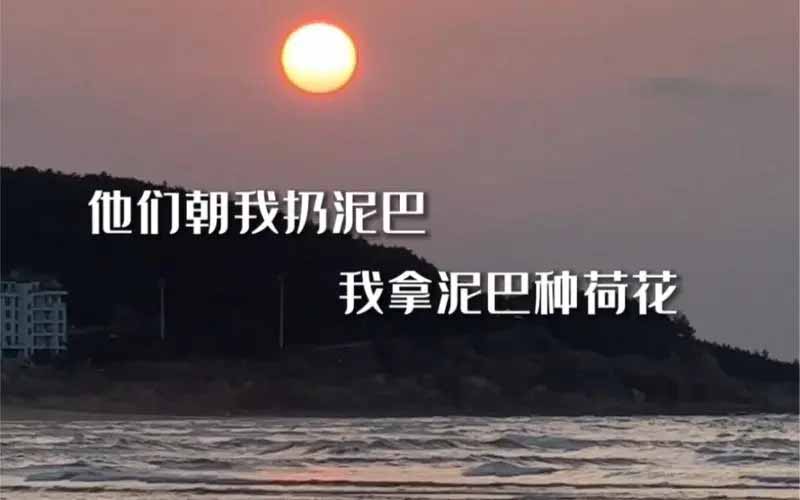 《抖音》他们朝我扔泥巴是什么梗