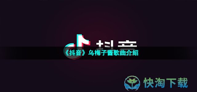 《抖音》乌梅子酱歌曲介绍