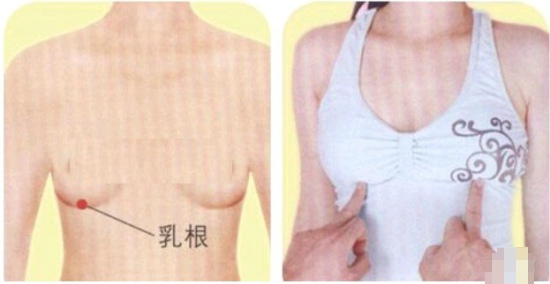 乳根