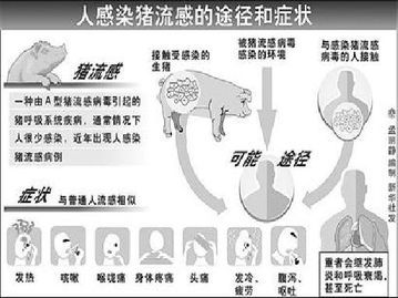 甲型h1n1流感是什么病毒